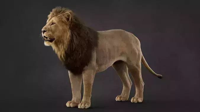 LION  CORE MODEL