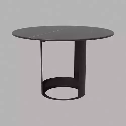 Regulusyn Coffee Table