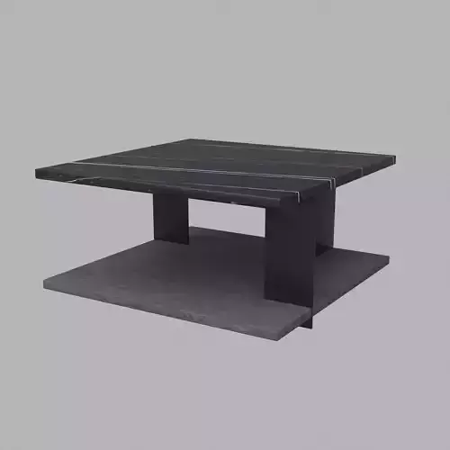 Polarisxnn Coffee Table