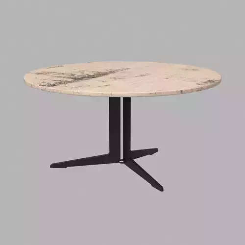 Phactuussf Coffee Table