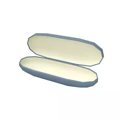 Eyeglasses Empty Case v1 002