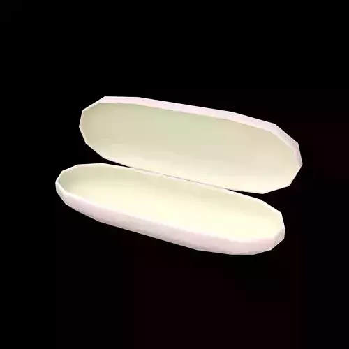 Eyeglasses Empty Case v1 003