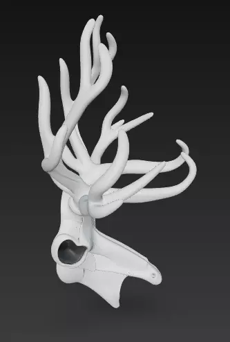 Stylized Deer Skull with Antlers 3D Model Fantasy Sculpture 3D print model_6
