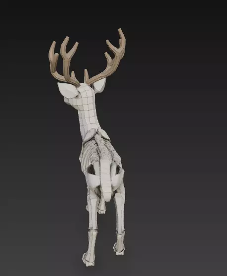 Stylized Deer Skeleton with Antlers 3D Model 3D print model_1