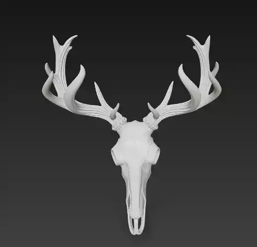 Mystical Deer Skull Sculpture 3D Print Model Free 3D print model
