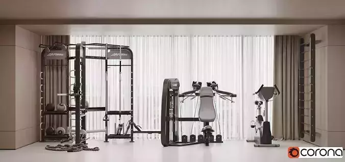 Modern Home Gym with Fitness Equipment 003