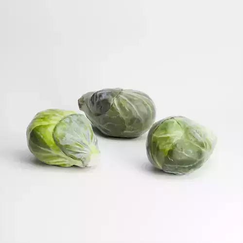 Brussels Sprouts Set