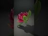 Vibrant Lotus Blossom model pack Low-poly 3D model_2