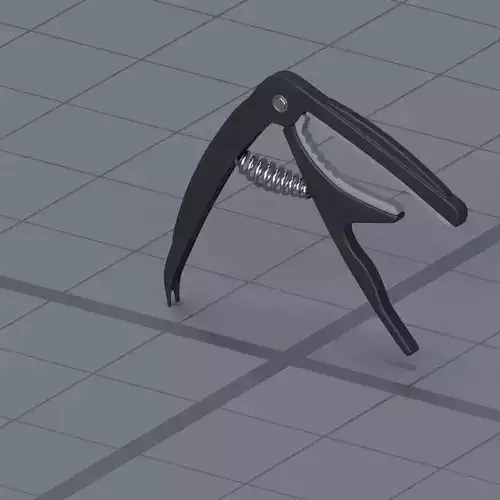 guitar capo