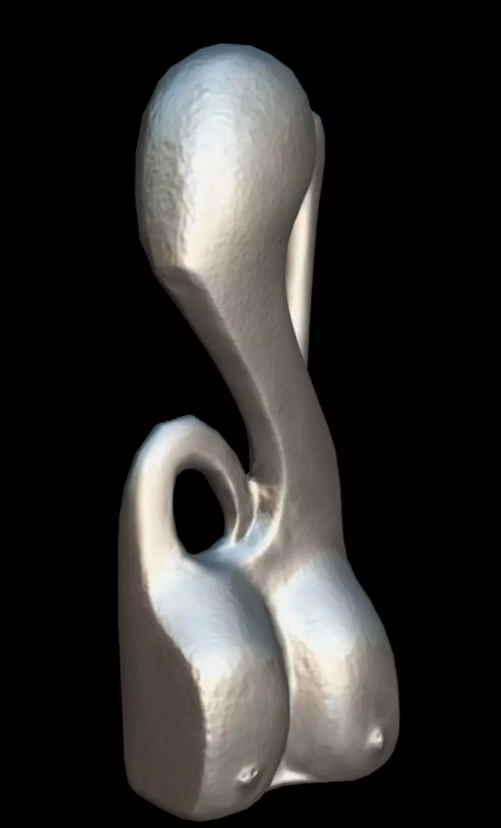 Okhuo Female Form Low-poly 3D model_8