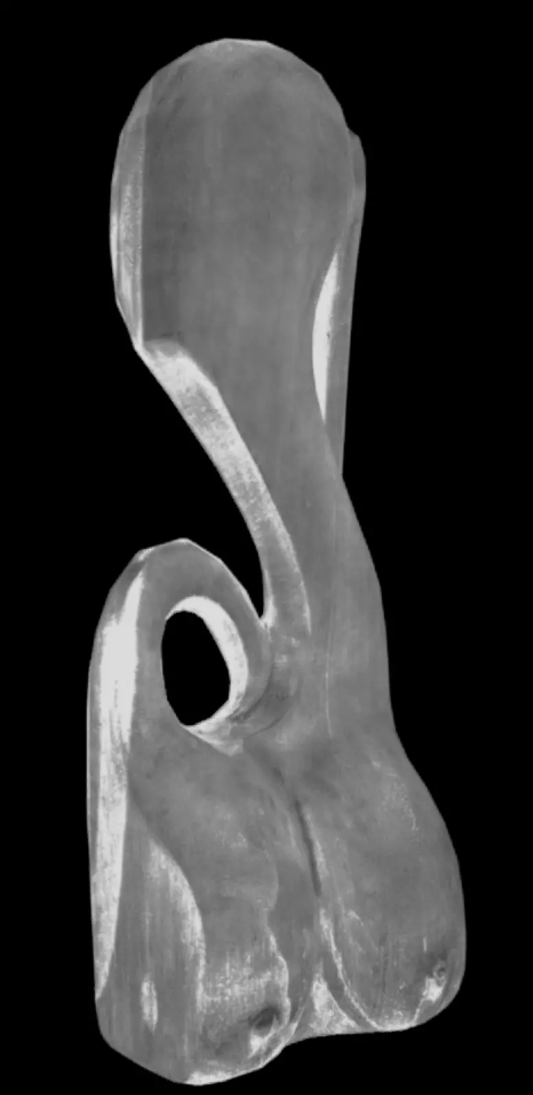 Okhuo Female Form Low-poly 3D model_5