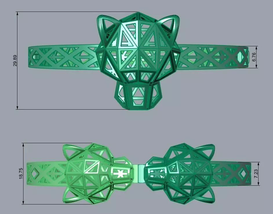 Leopard or Panther head set 3D print model_6