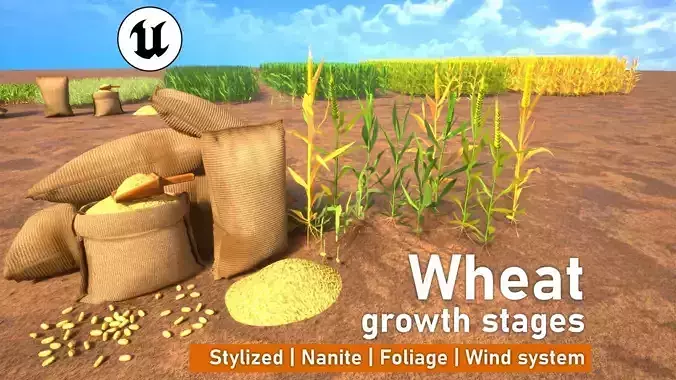 Stylized wheat growth stages pack Low-poly 3D model