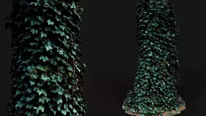 tree trunk ivy growth PBR photogrammetry