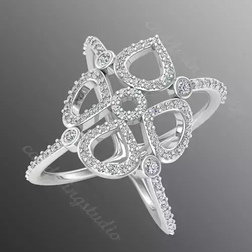 Ring ri216