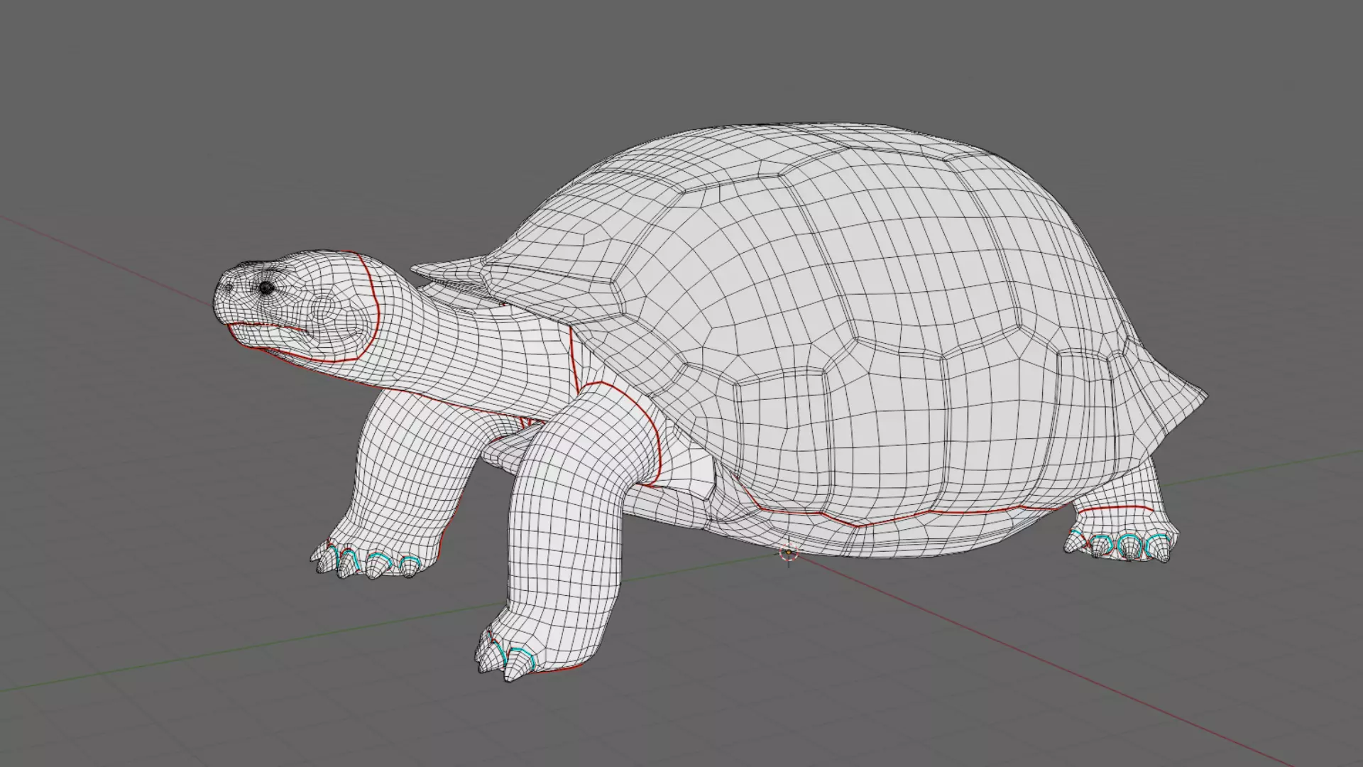 Realistic Galapagos Tortoise Low-poly 3D model_10