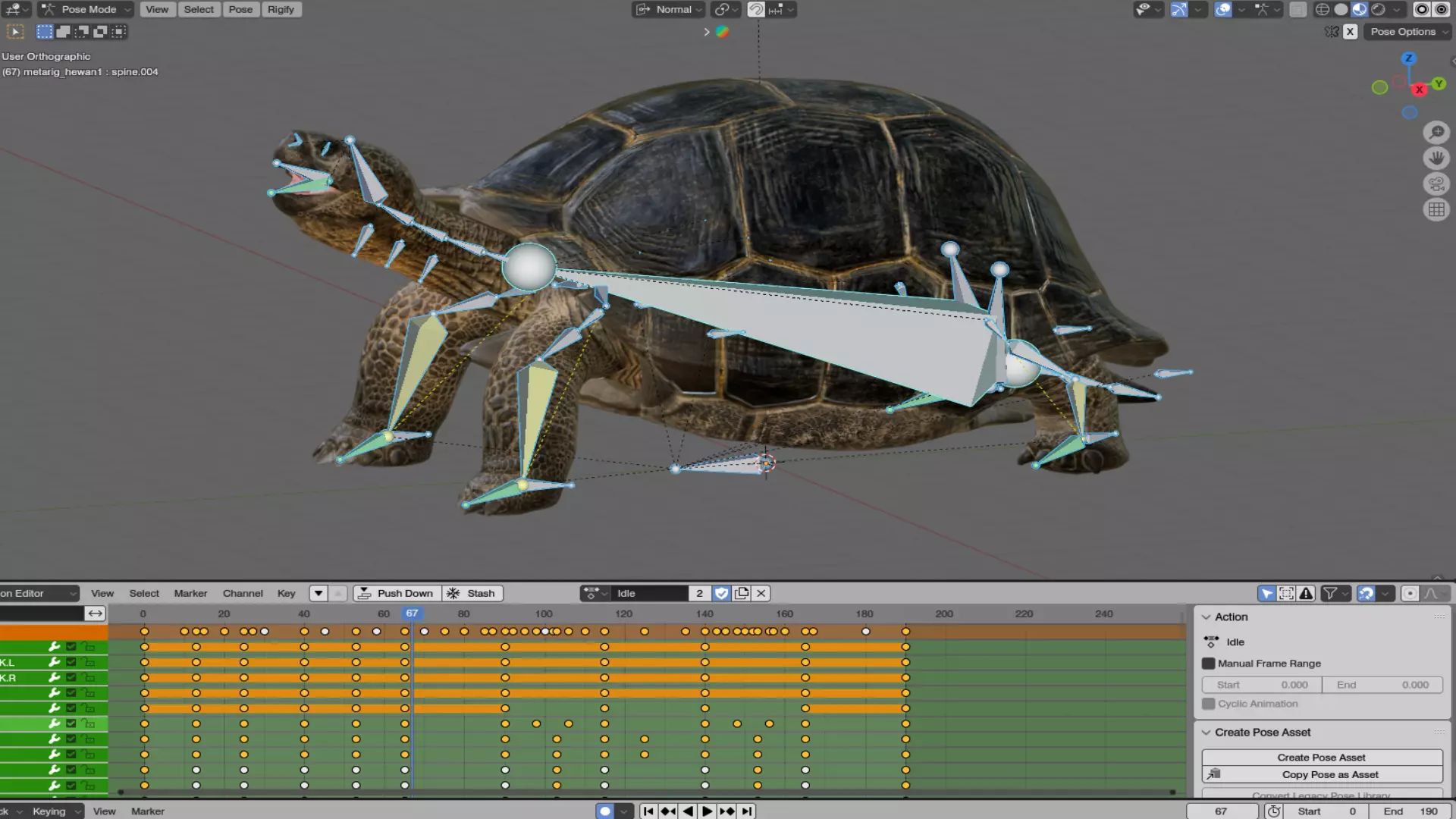 Realistic Galapagos Tortoise Low-poly 3D model_9