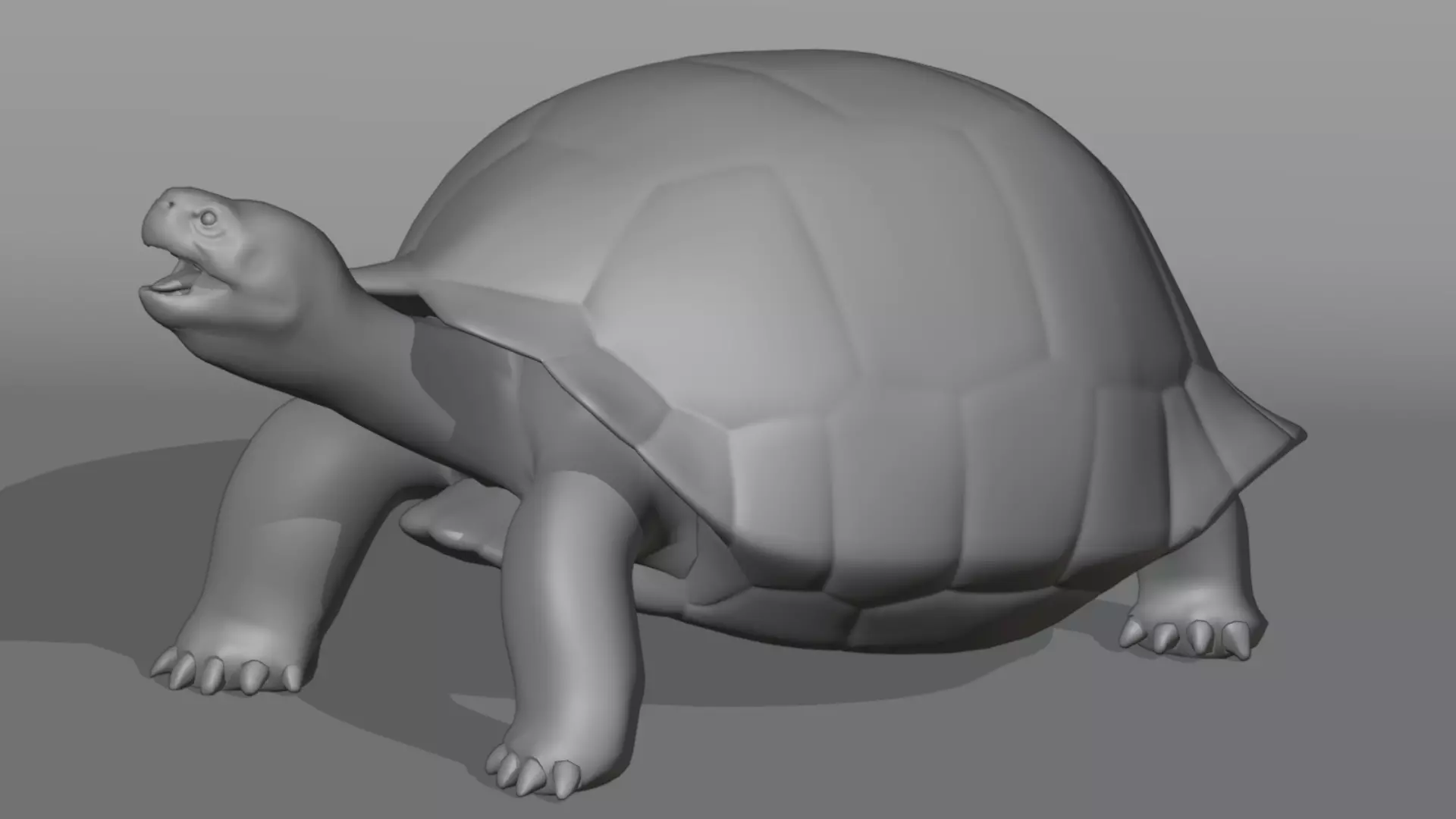 Realistic Galapagos Tortoise Low-poly 3D model_11