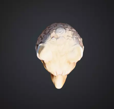 Viking Totem Wood Low-poly 3D model_13