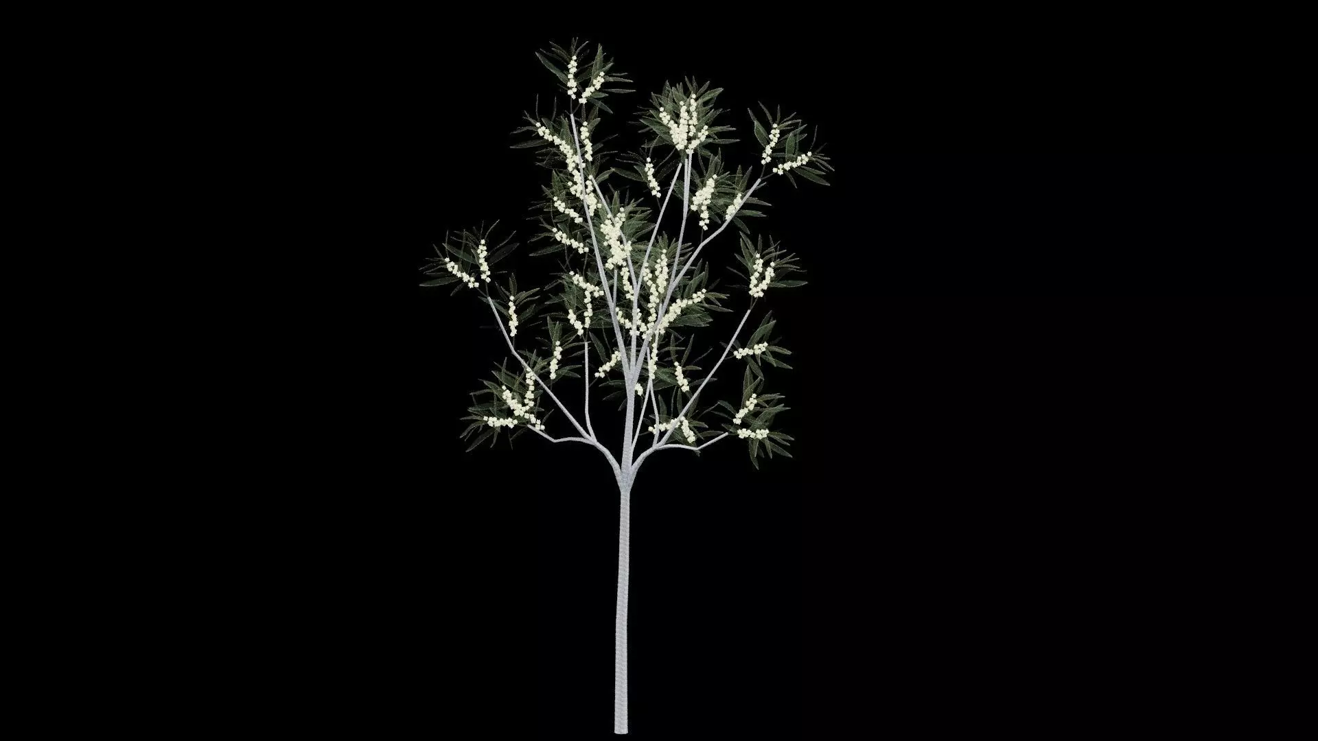 Realistic Tree Low-poly 3D model_0