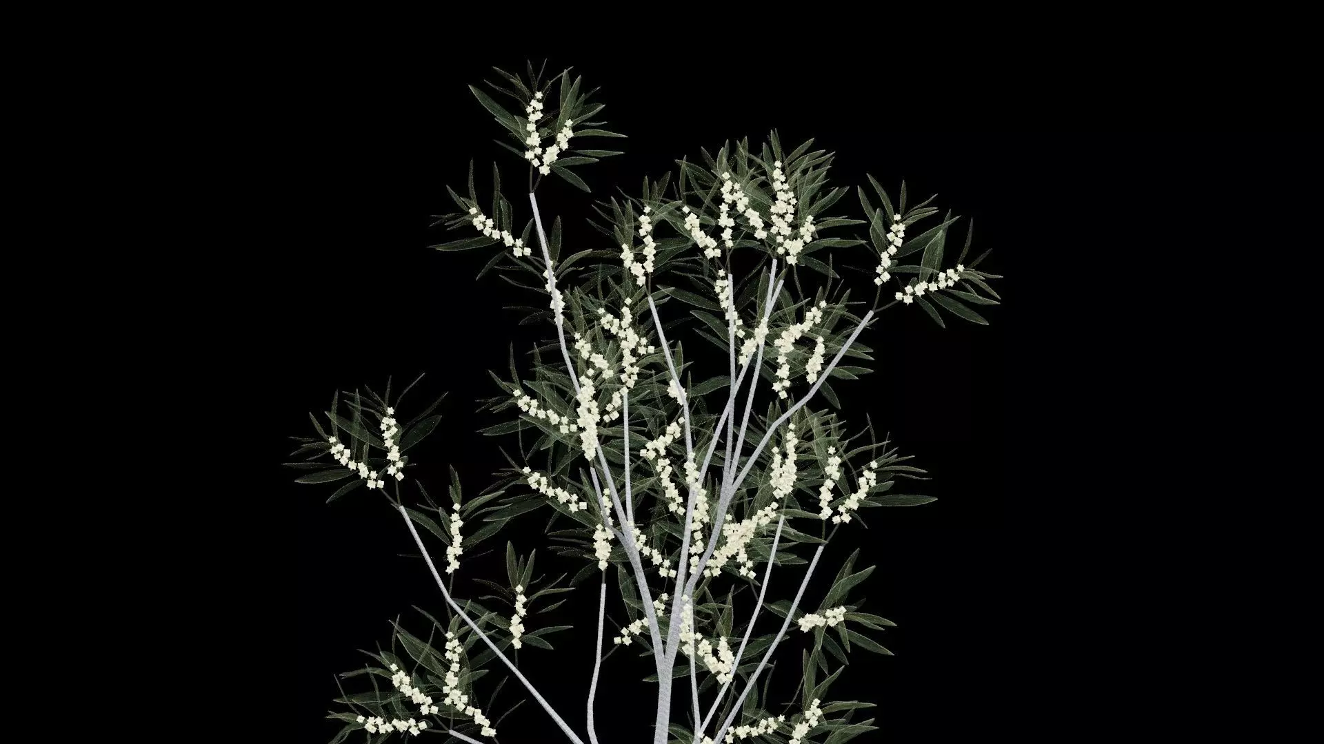 Realistic Tree Low-poly 3D model_2