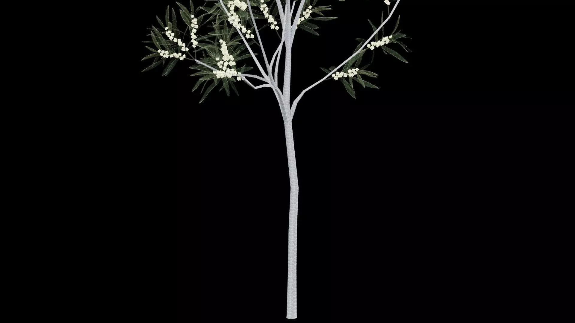 Realistic Tree Low-poly 3D model_4