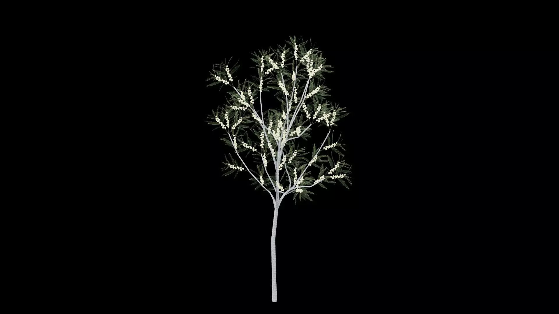 Realistic Tree Low-poly 3D model_1