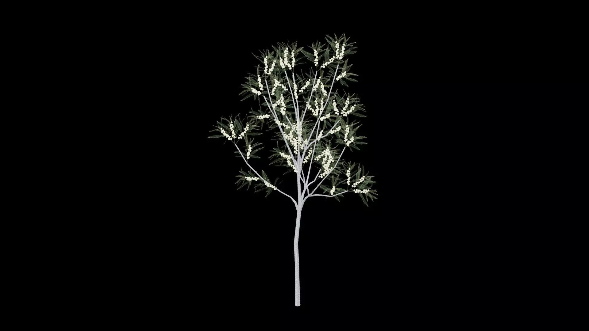 Realistic Tree Low-poly 3D model_3