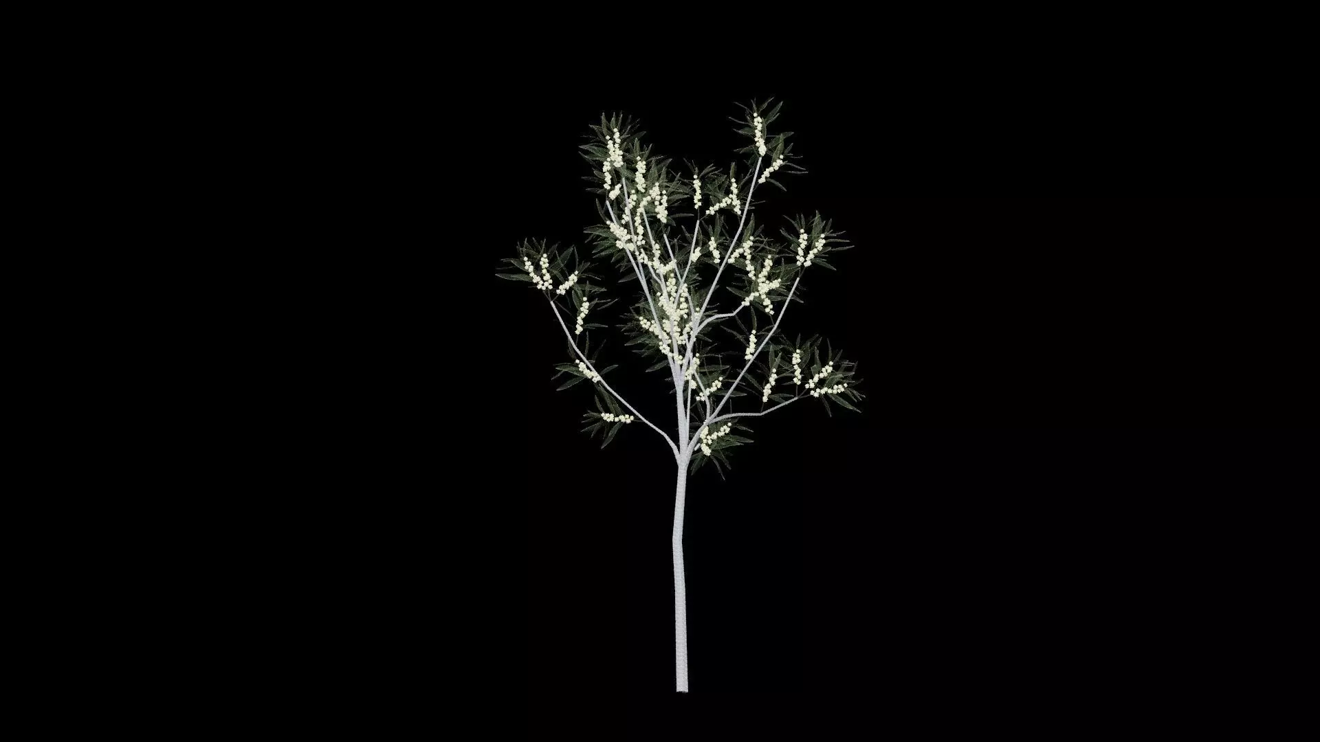 Realistic Tree Low-poly 3D model_7