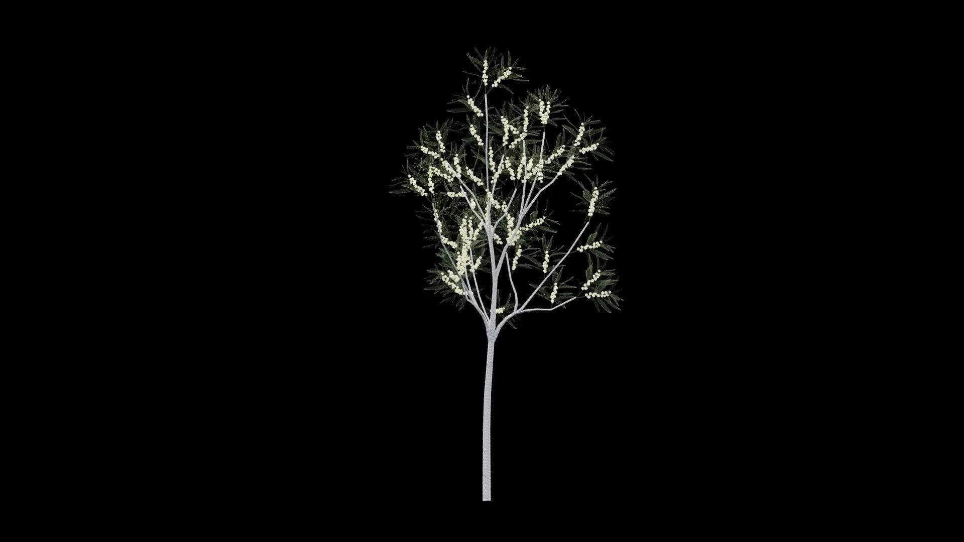 Realistic Tree Low-poly 3D model_5