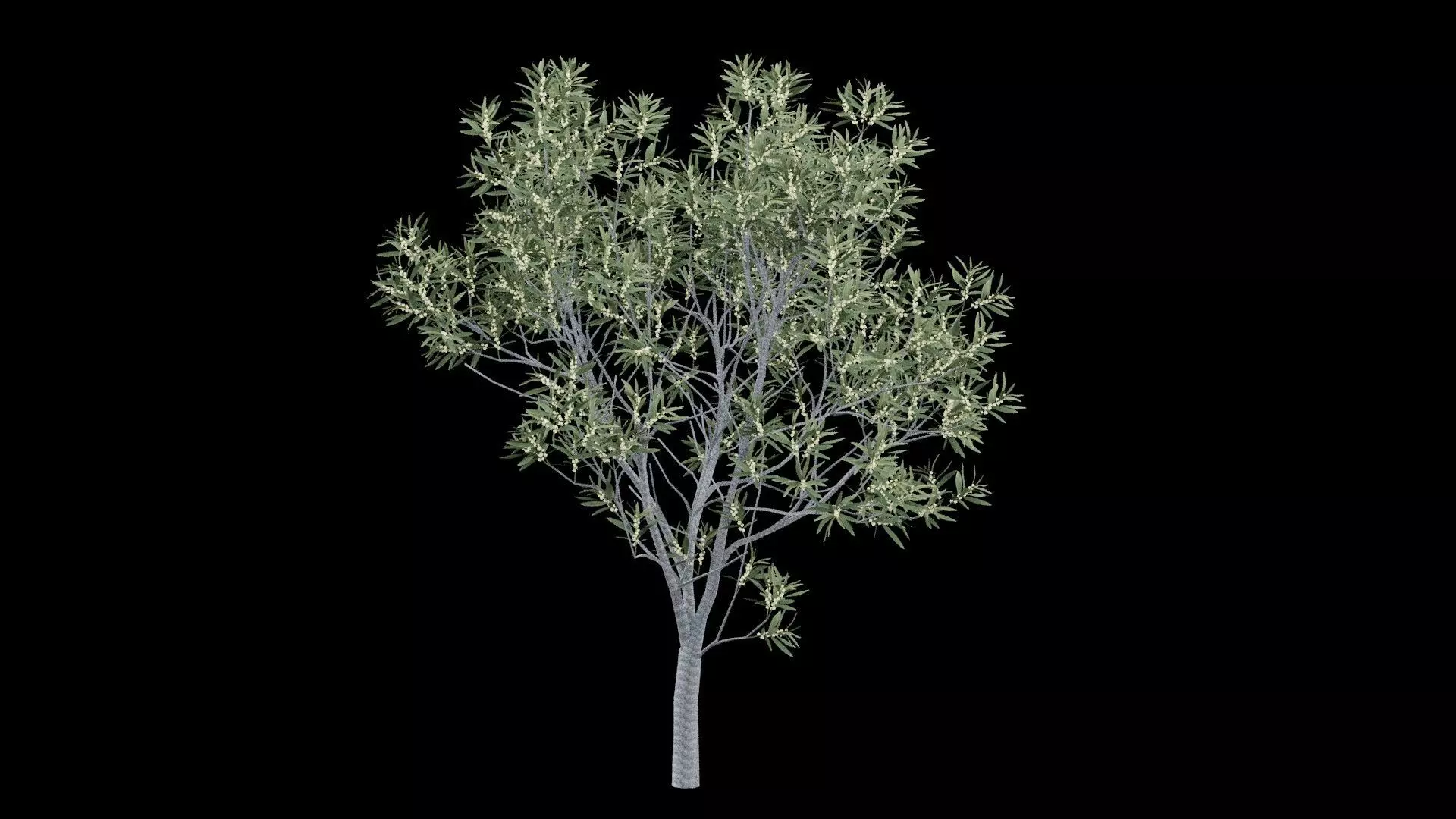 Realistic Tree Low-poly 3D model_0