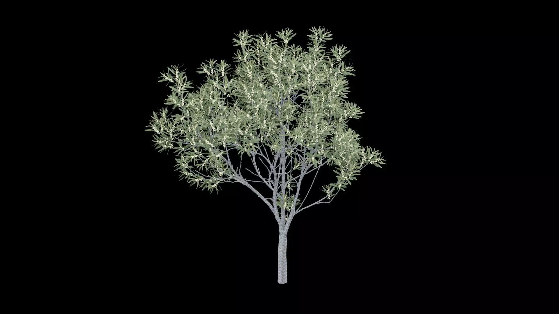 Realistic Tree Low-poly 3D model_3