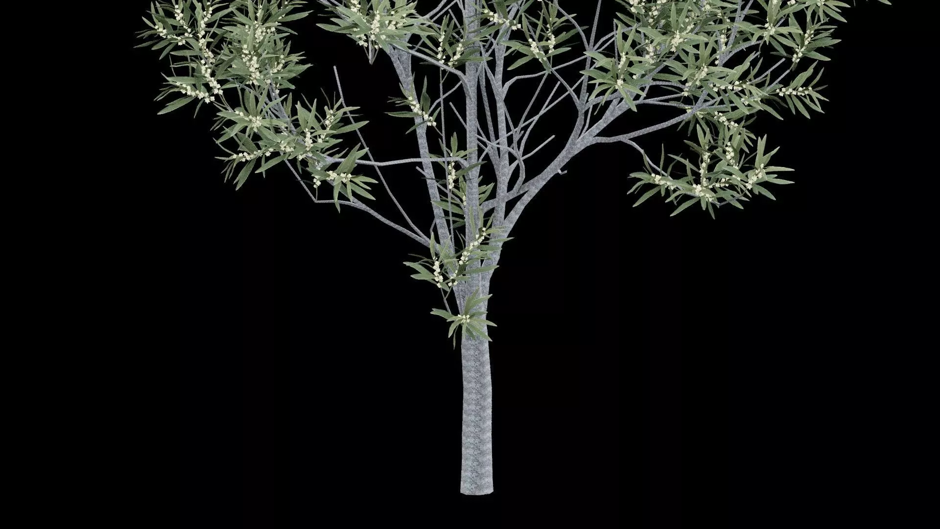 Realistic Tree Low-poly 3D model_4