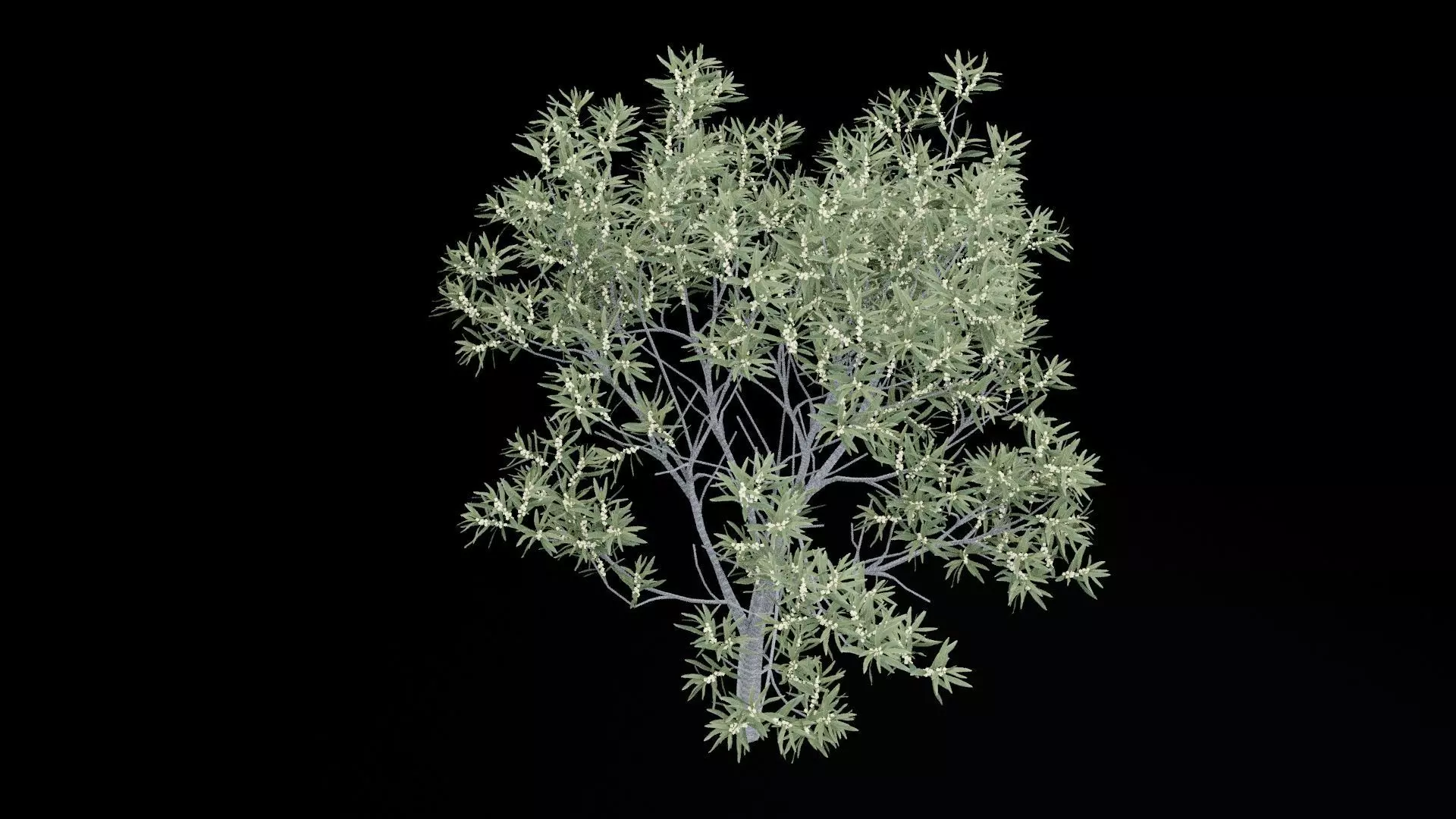 Realistic Tree Low-poly 3D model_6