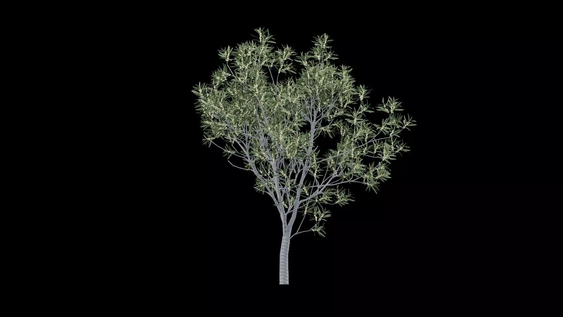 Realistic Tree Low-poly 3D model_5