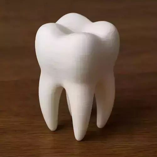 A Tooth
