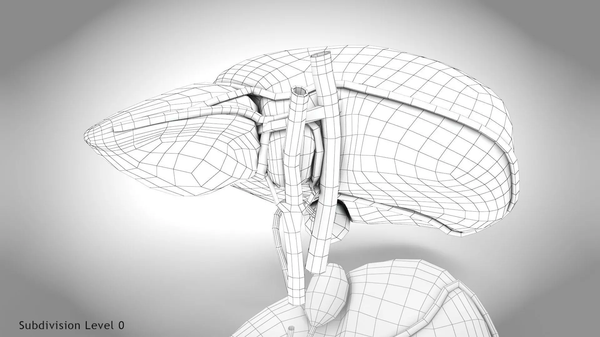 Healthy Liver 3D model_7