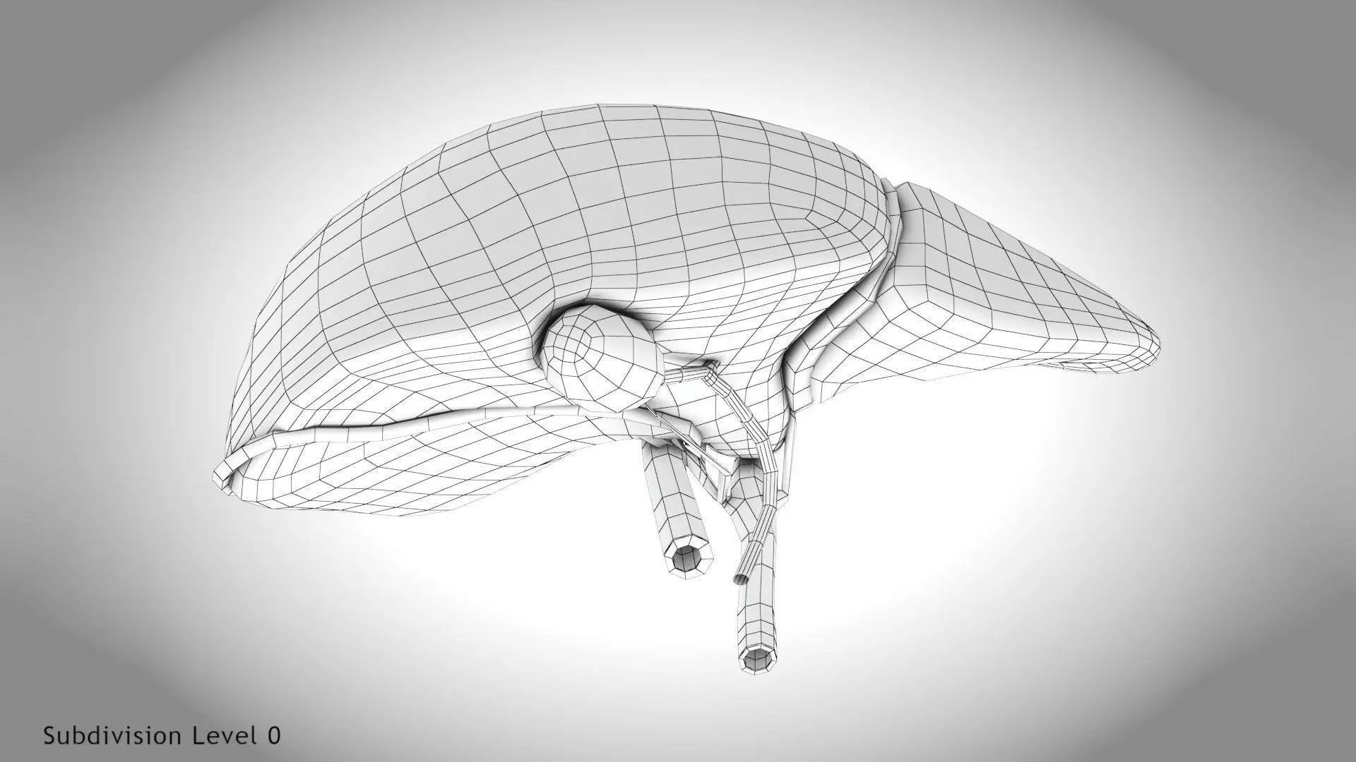 Healthy Liver 3D model_21