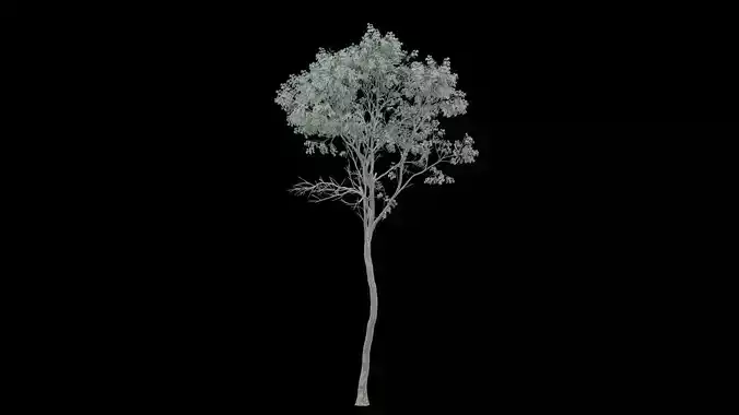 Realistic Tree