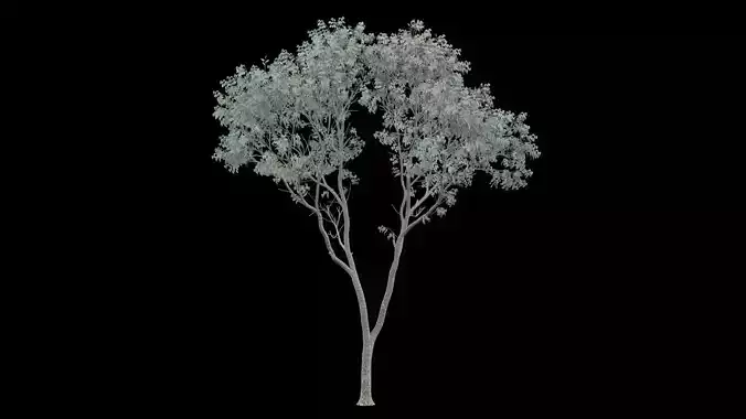 Realistic Tree