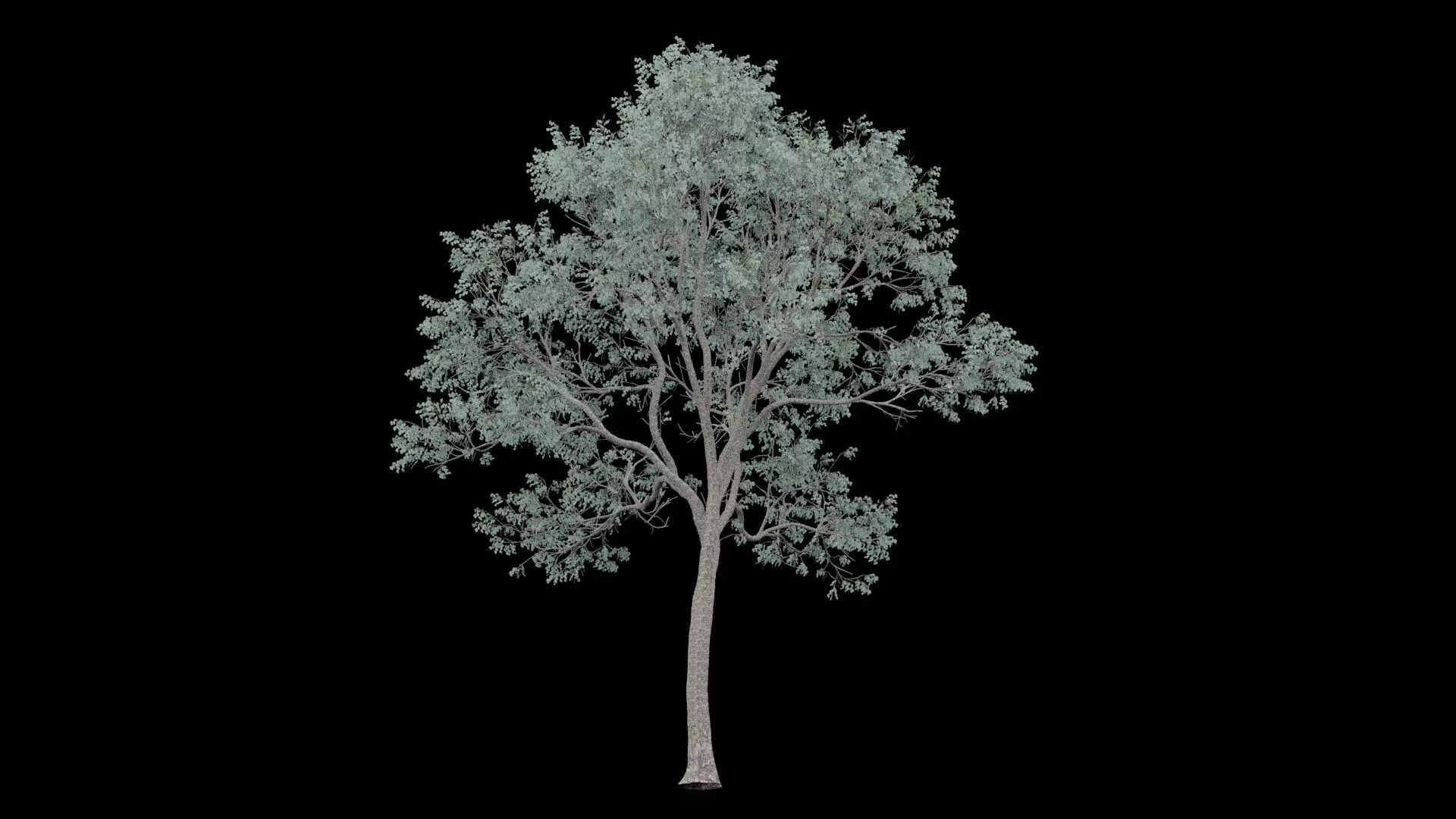 Realistic Tree Low-poly 3D model_7