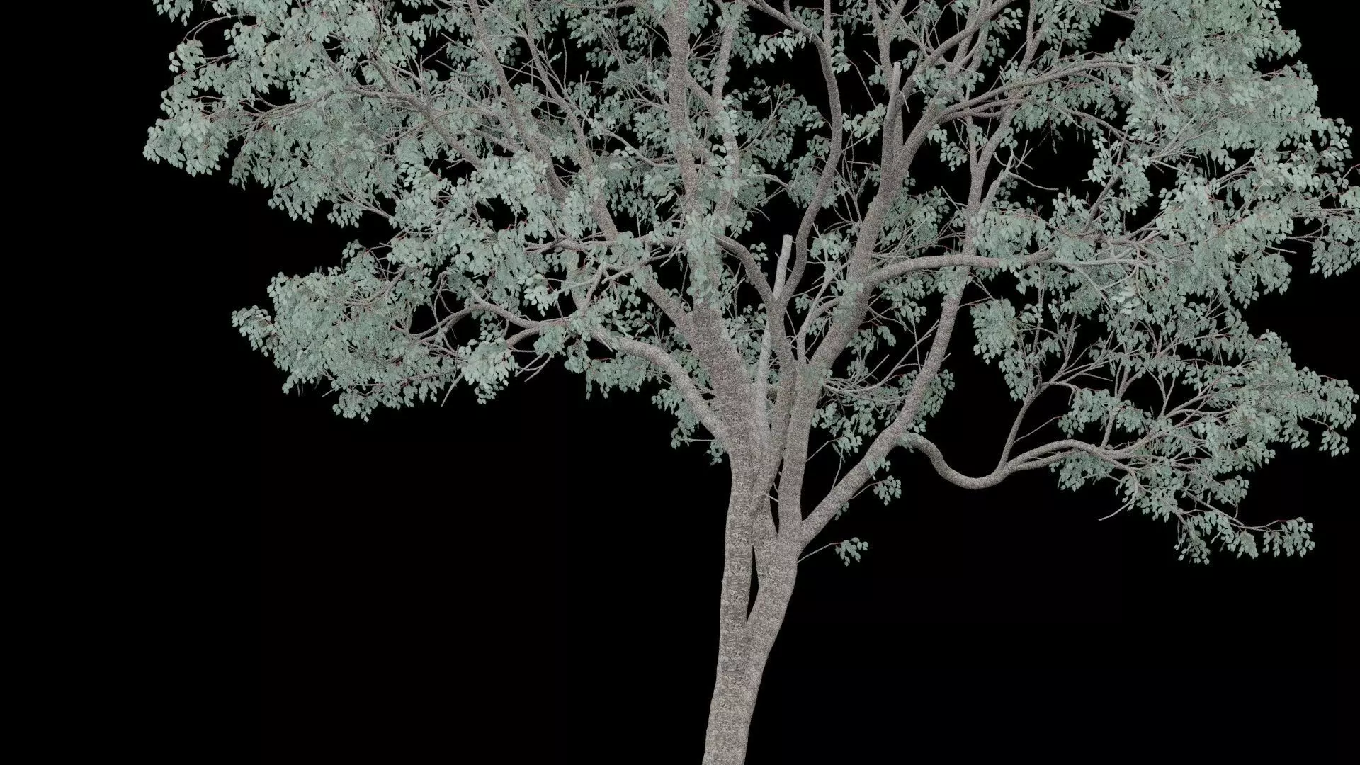 Realistic Tree Low-poly 3D model_3