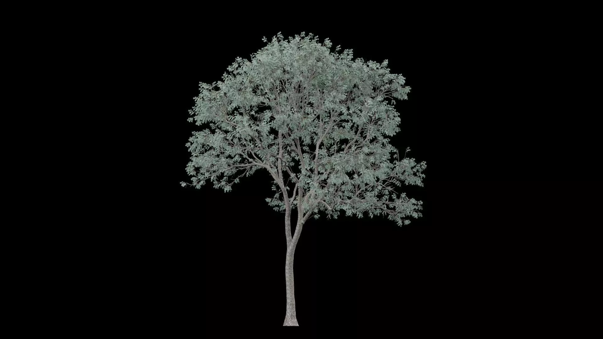 Realistic Tree Low-poly 3D model_5