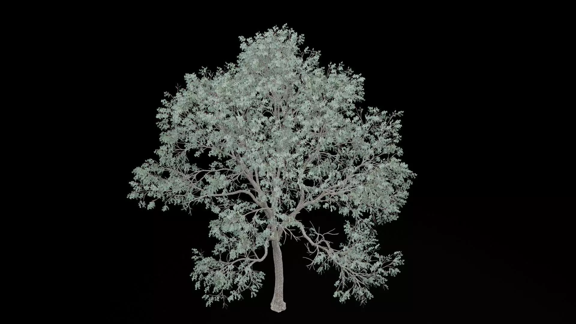 Realistic Tree Low-poly 3D model_6