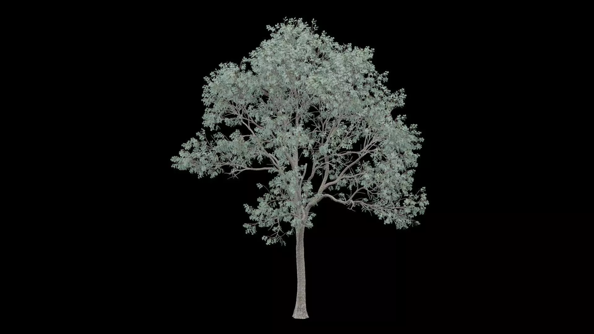 Realistic Tree Low-poly 3D model_2