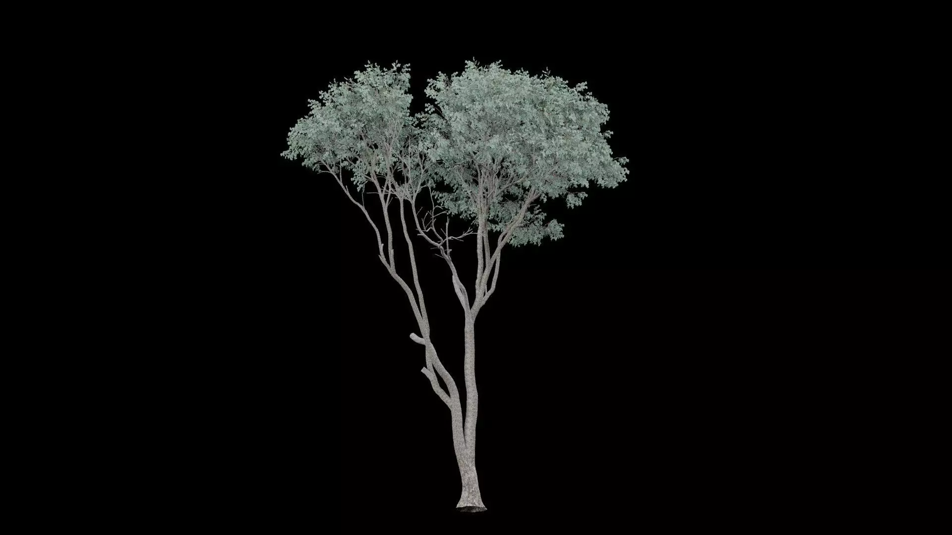 Realistic Tree Low-poly 3D model_7