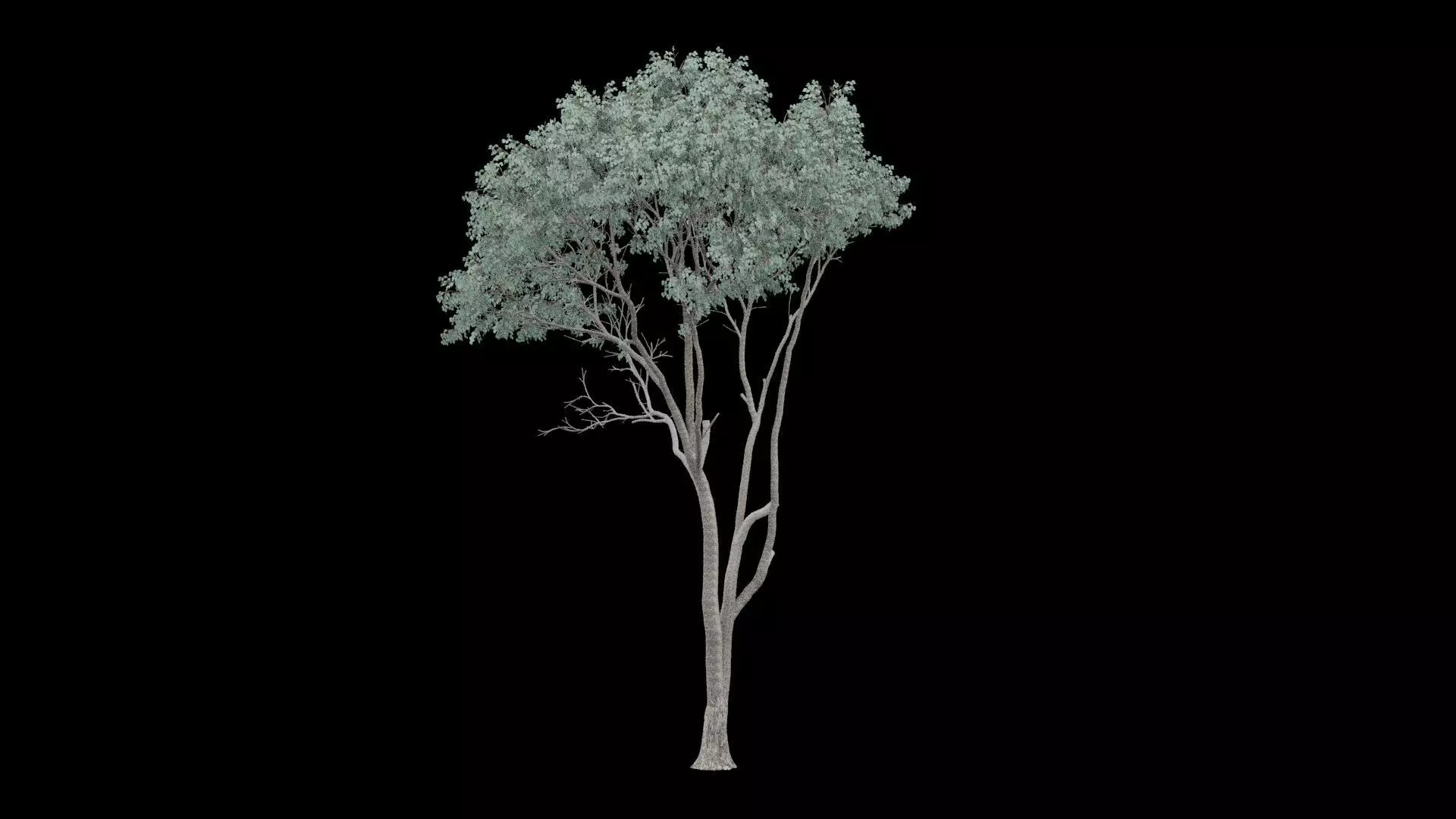 Realistic Tree Low-poly 3D model_0