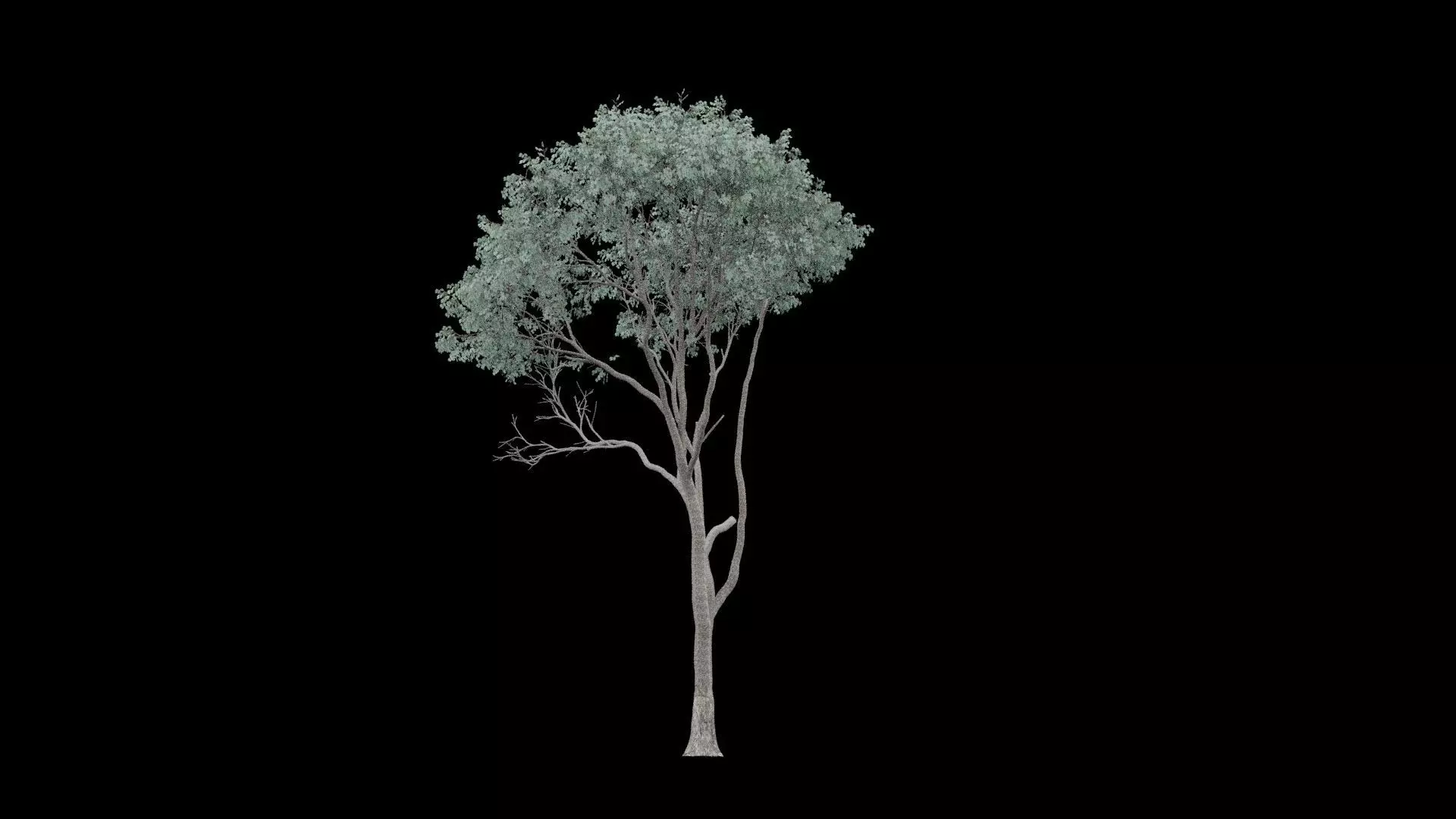 Realistic Tree Low-poly 3D model_5