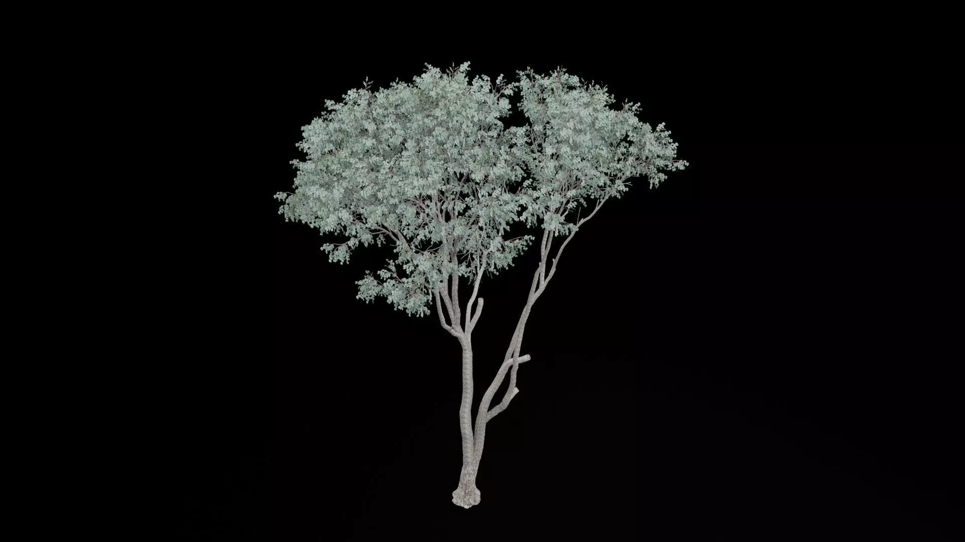 Realistic Tree Low-poly 3D model_6