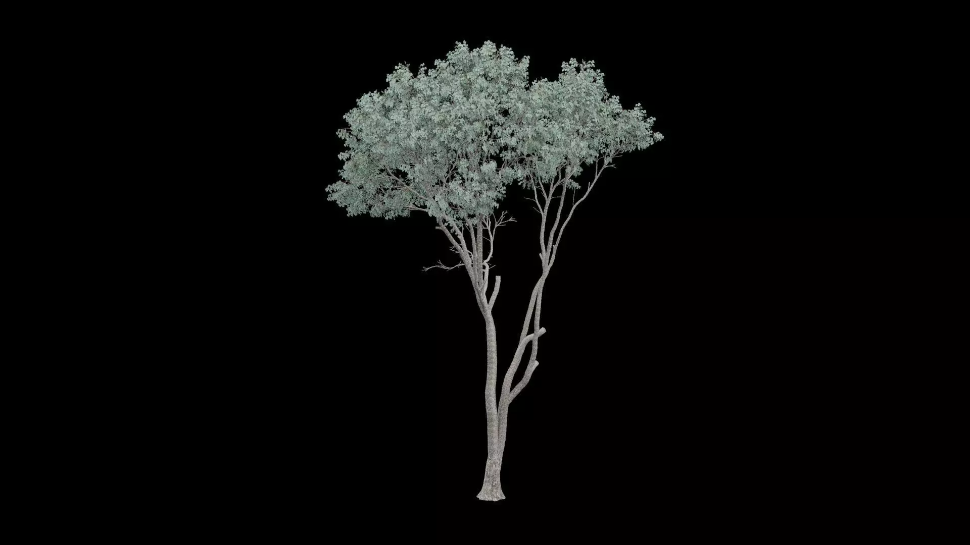 Realistic Tree Low-poly 3D model_2